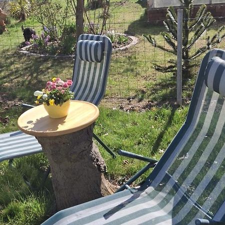 Ferienwohnung Rosengarten 발렌슈테트 외부 사진