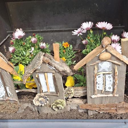 Ferienwohnung Rosengarten 발렌슈테트 외부 사진