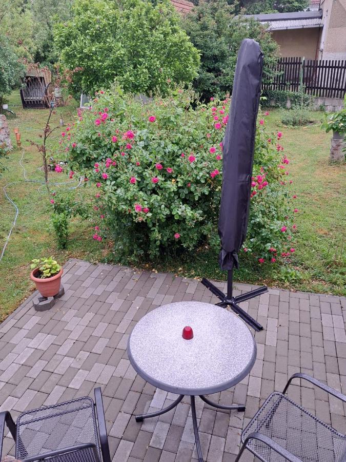 Ferienwohnung Rosengarten 발렌슈테트 외부 사진