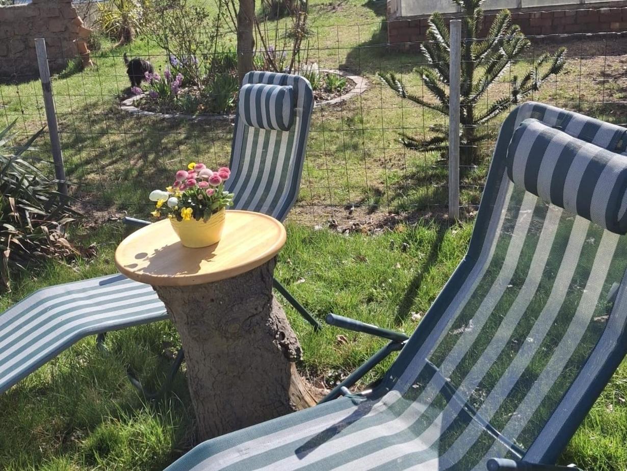 Ferienwohnung Rosengarten 발렌슈테트 외부 사진